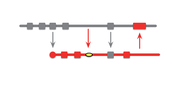 Patterns for Managing Source Code Branches