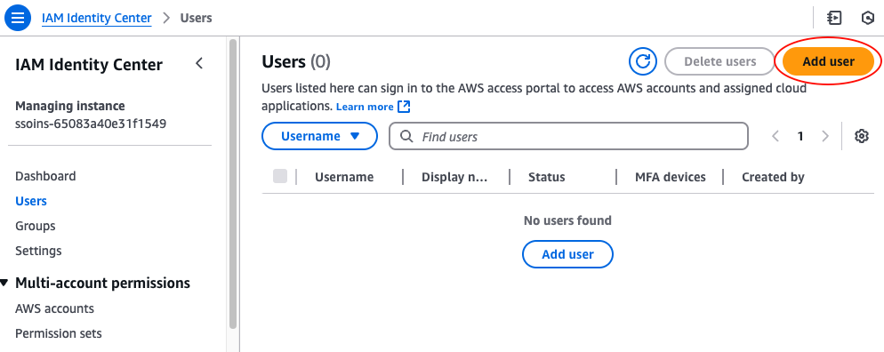 IAM Identity Center users